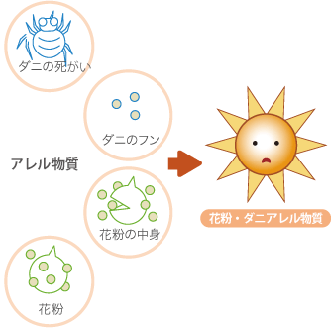 アレルギーを引き起こす物質「アレル物質」