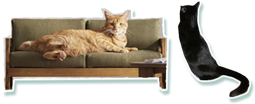 ネコ家具、猫ソファ